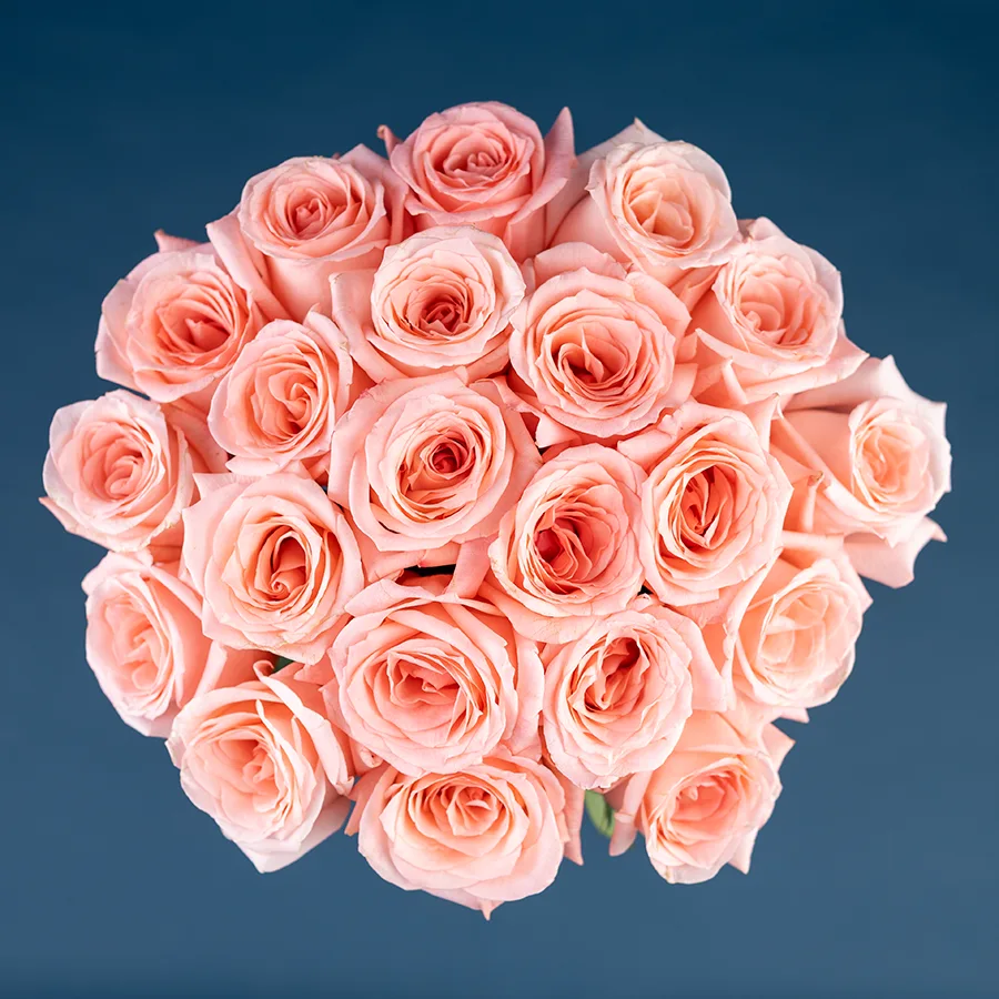 Букет из 21 светло-розовой розы Энгейджмент (03848)