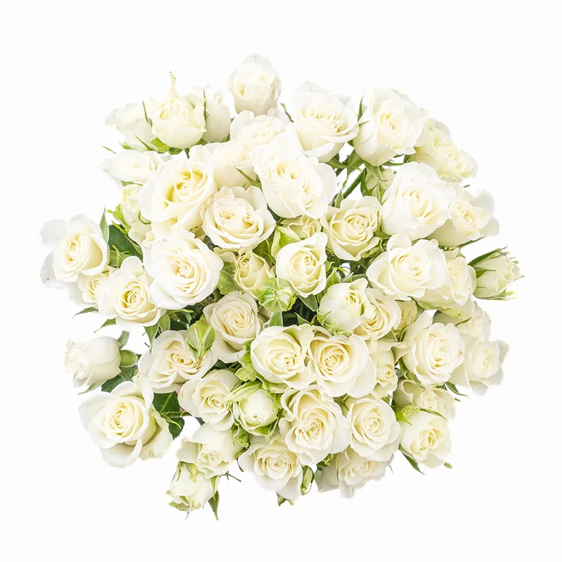 Букет из 13 белых кустовых роз Сноуфлейк (02129)