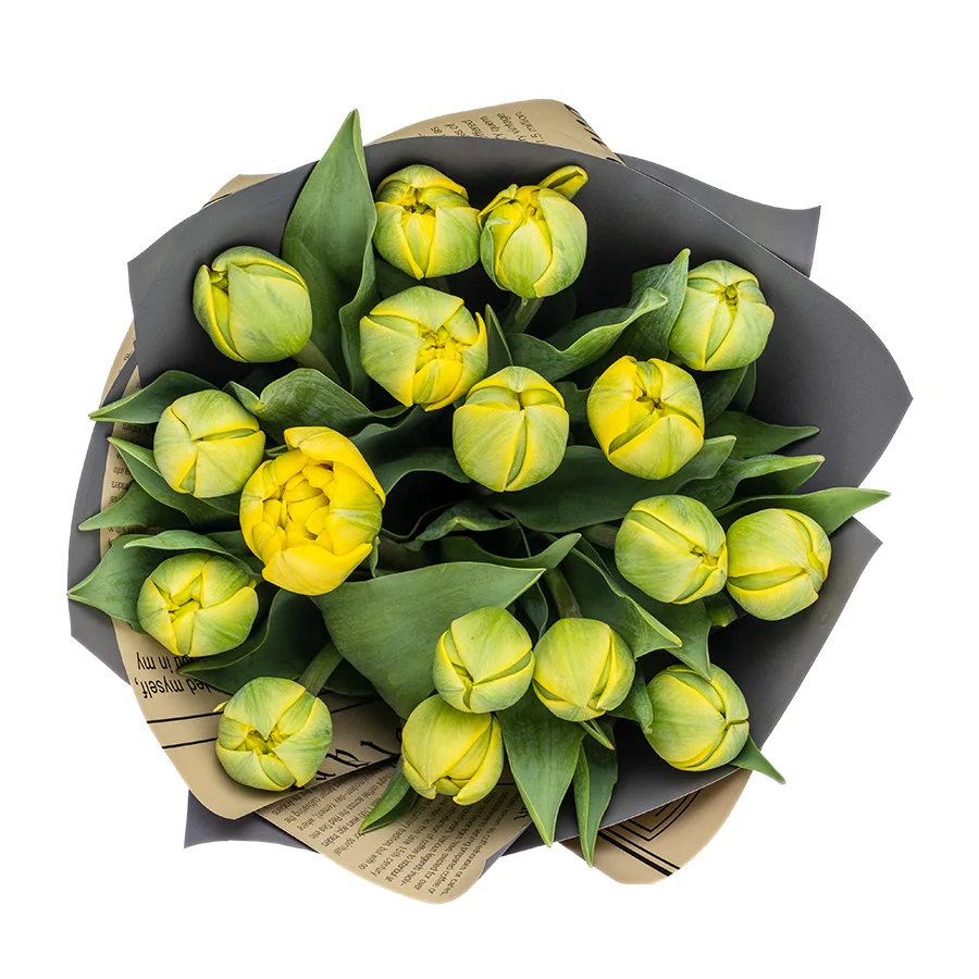 Букет из 17 желтых махровых тюльпанов Йелоу Помпонет (02448)