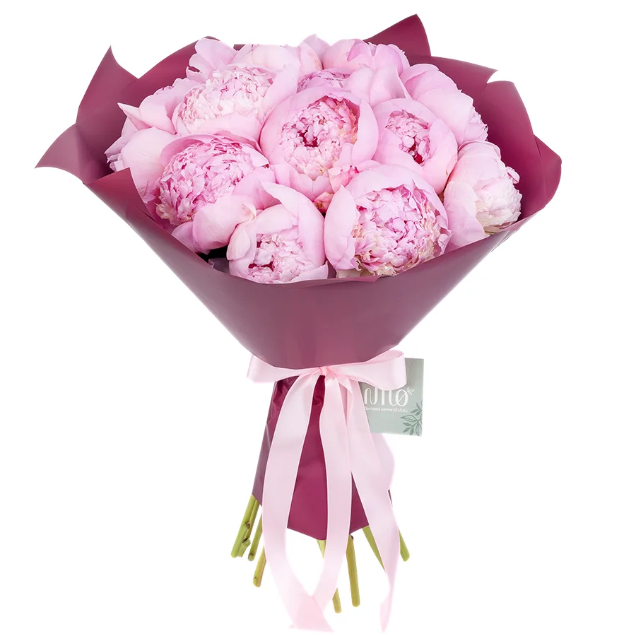 Букет из 15 светло-розовых пионов Энджел Чикс (02574)