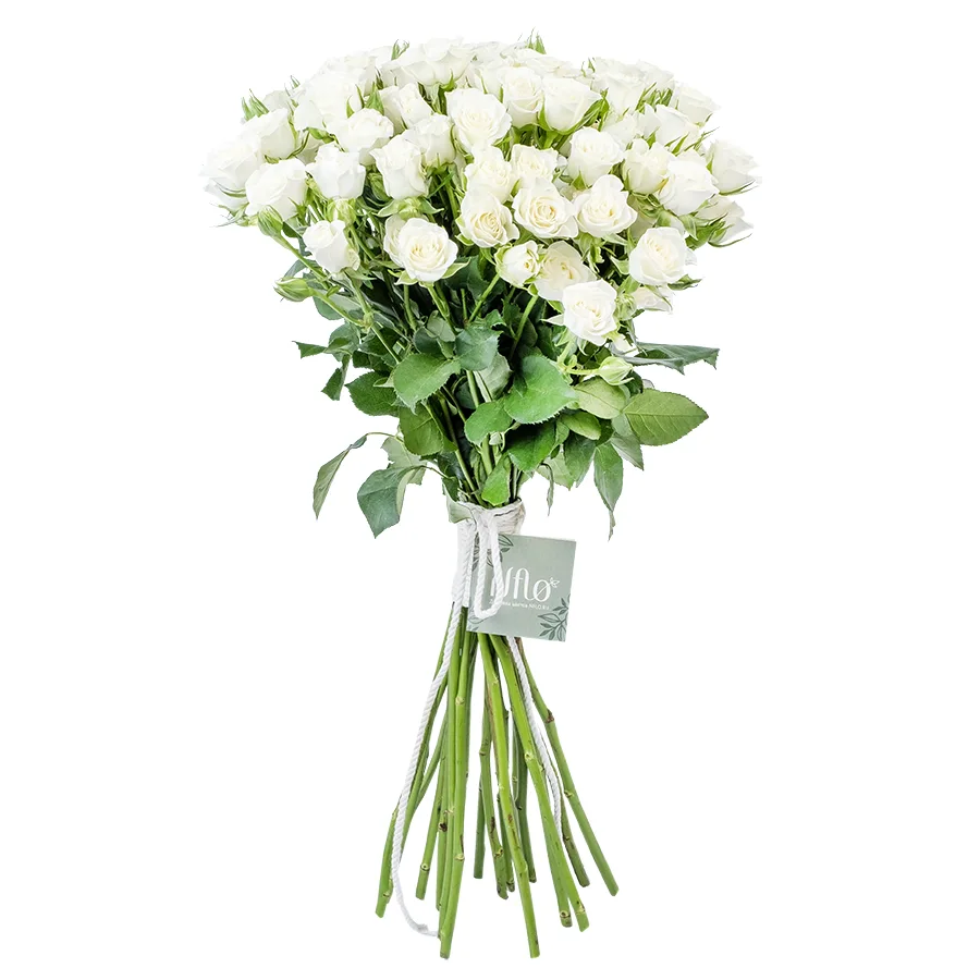Букет из 23 белых кустовых роз Сноуфлейк (02124)