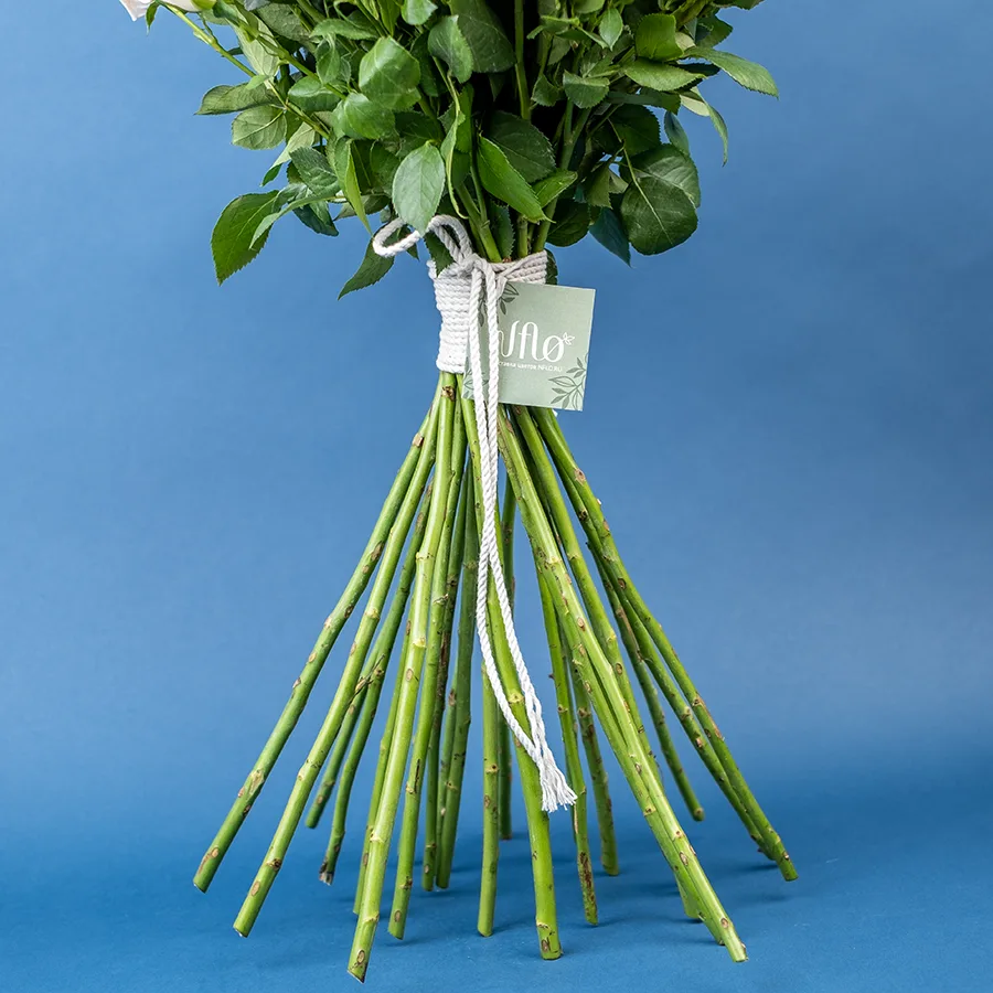 Букет из 25 бело-кремовых кустовых роз Роял Порцелина (02352)