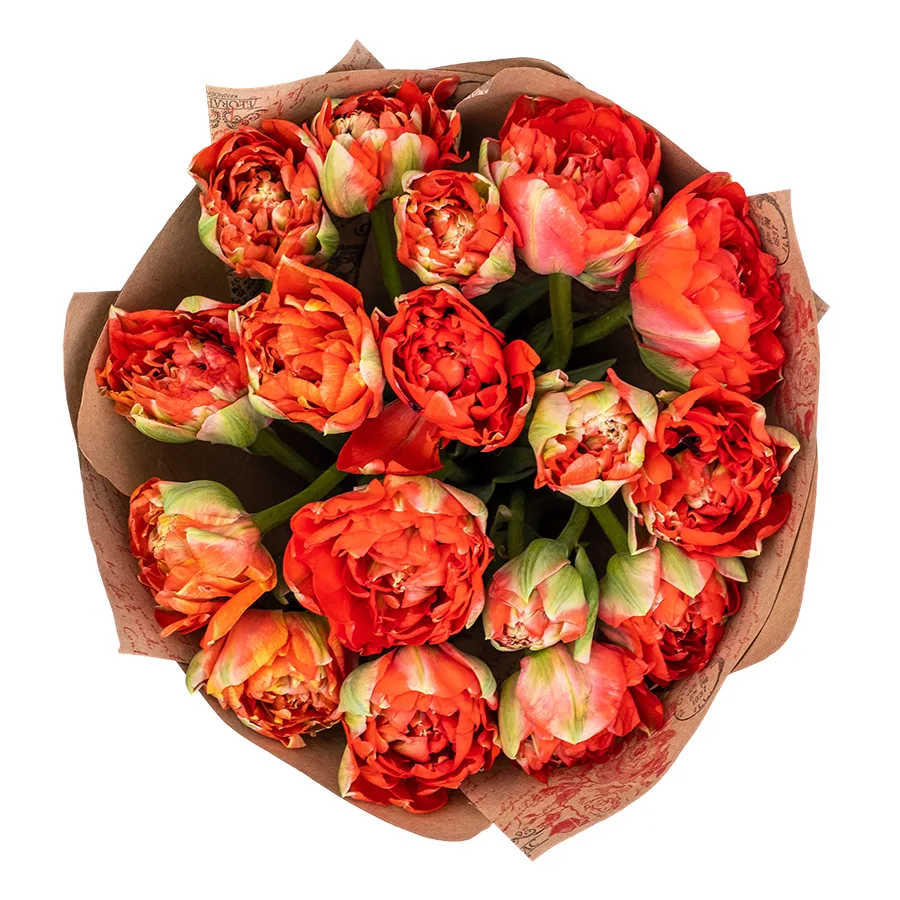 Букет из 17 красных гигантских пионовидных тюльпанов Гудошник (02418)