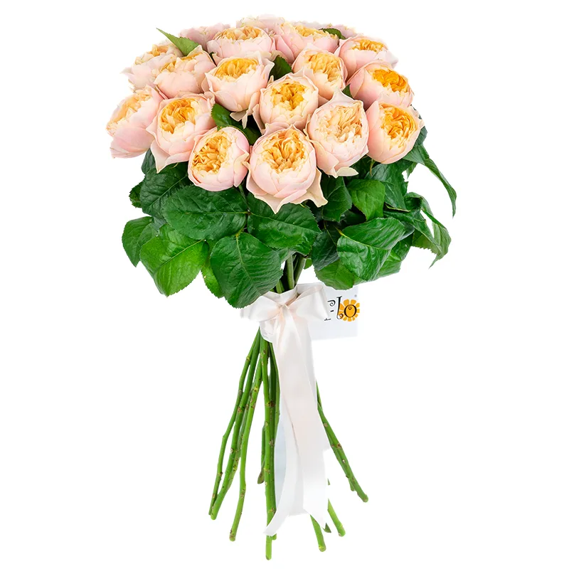 Букет из 19 персико-розовых пионовидных роз Романтик Вувузела (01617)