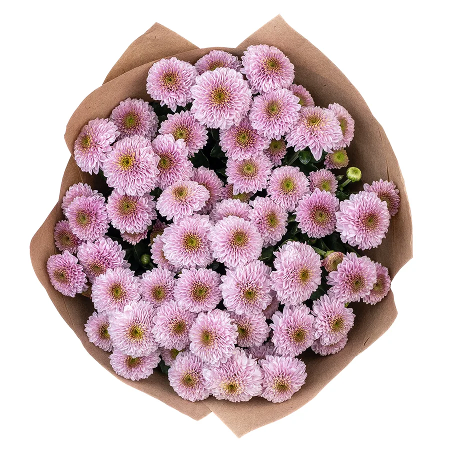Букет из 9 розовых кустовых хризантем Сантини Дория Пинк (02637)