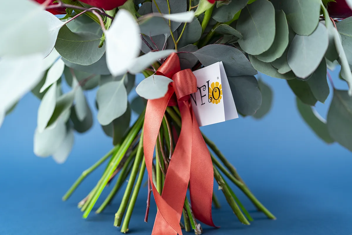 Букет из 17 красных роз и 6 белых орхидей с эвкалиптом (01130)
