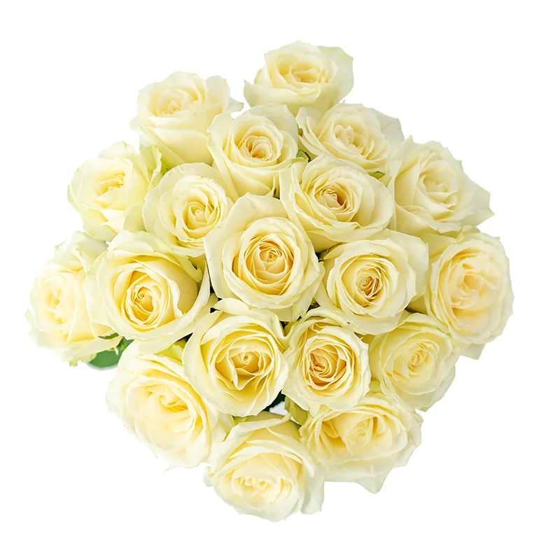 Букет из 19 белых роз Аваланж (01138)