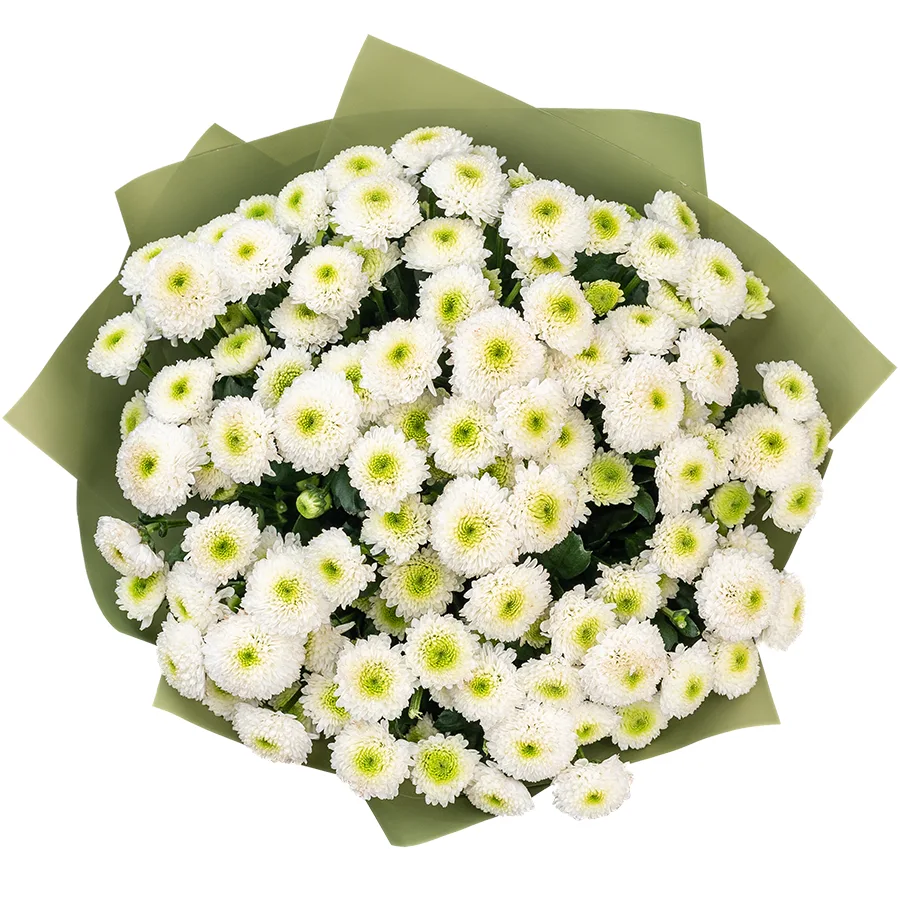 Букет из 17 белых кустовых хризантем Сантини Маверик Вайт (02639)