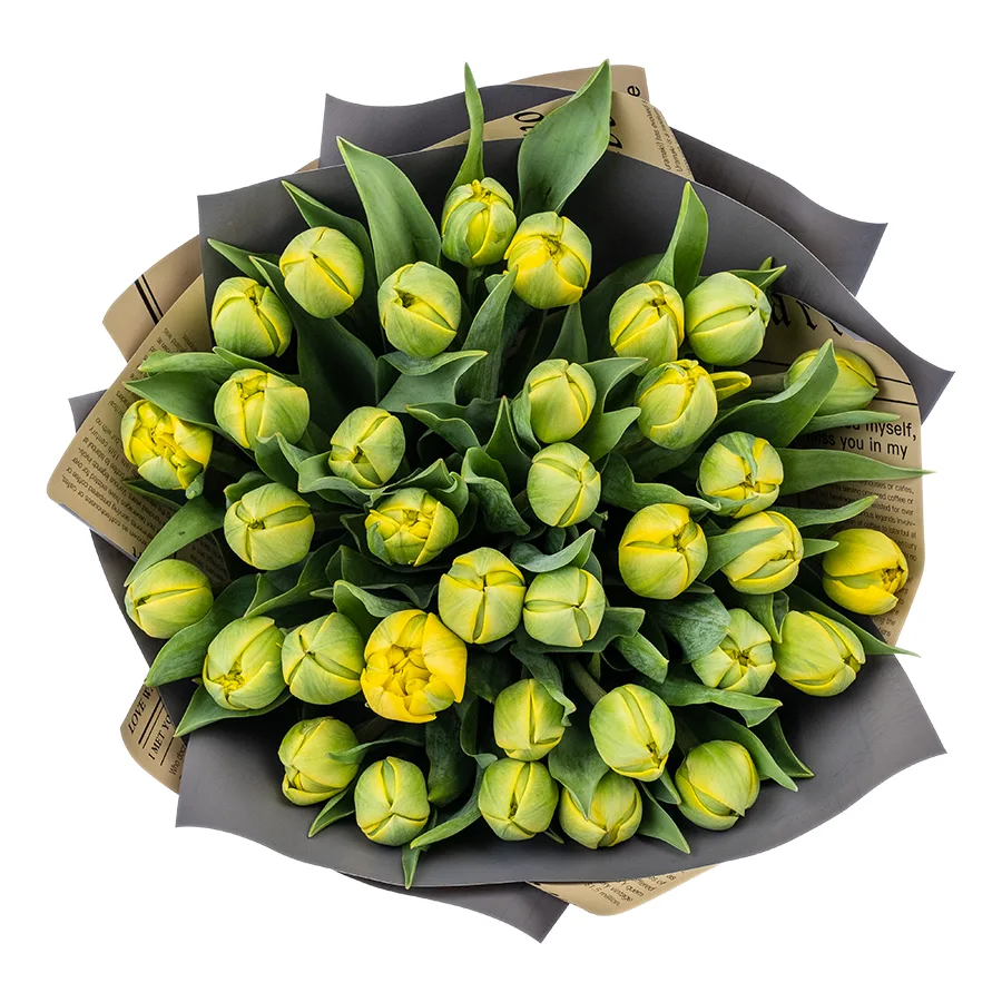 Букет из 35 желтых махровых тюльпанов Йелоу Помпонет (02439)