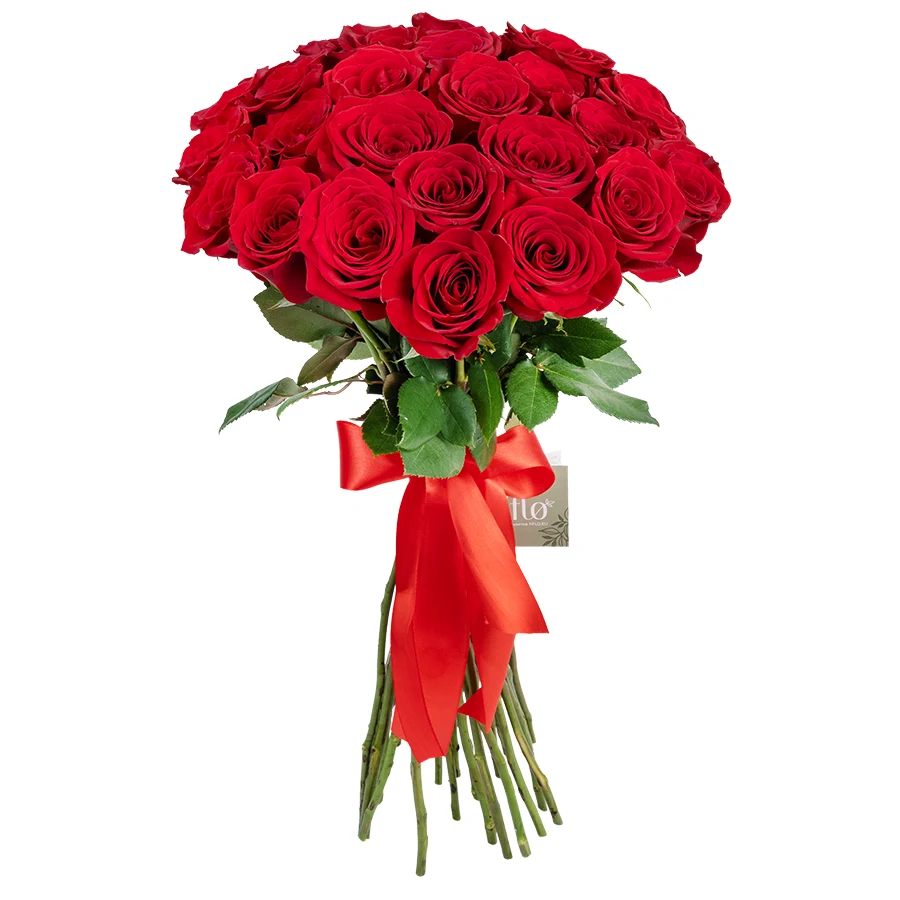 Букет из 29 красных роз Фридом (00437)