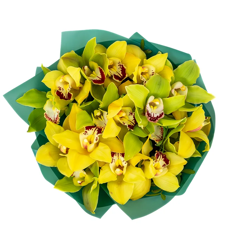 Букет из 17 зелёных и жёлтых орхидей Цимбидиум (01190)