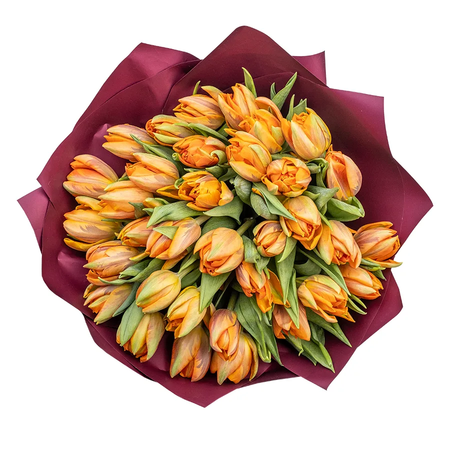 Букет из 33 оранжевых махровых тюльпанов Оранж Принцесс (02243)