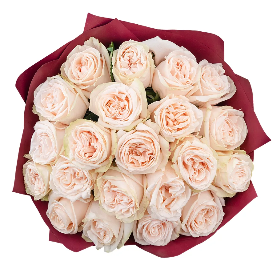 Букет из 21 кремово-розовой пионовидной розы Гарден Спирит (02917)