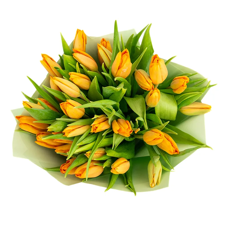 Букет из 35 оранжевых тюльпанов (01968)