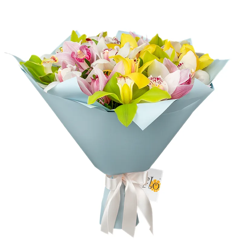 Букет из 21 разноцветной орхидеи Цимбидиум (01200)