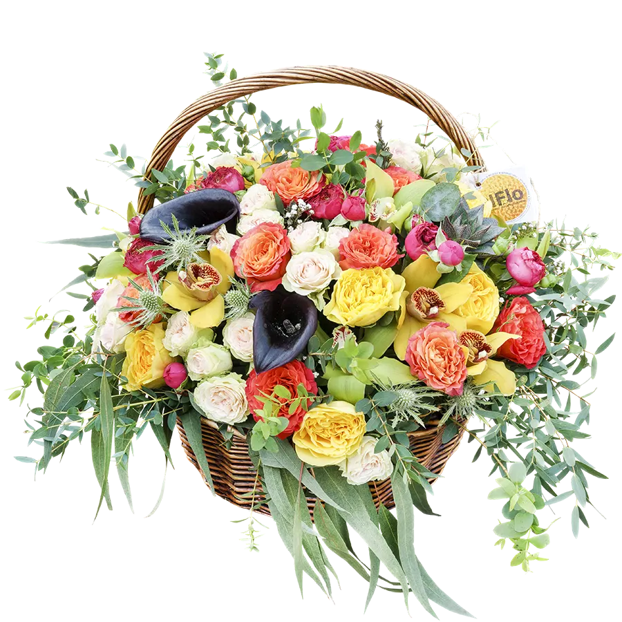 Корзина с розами, орхидеями, каллами и эхеверией (00792)