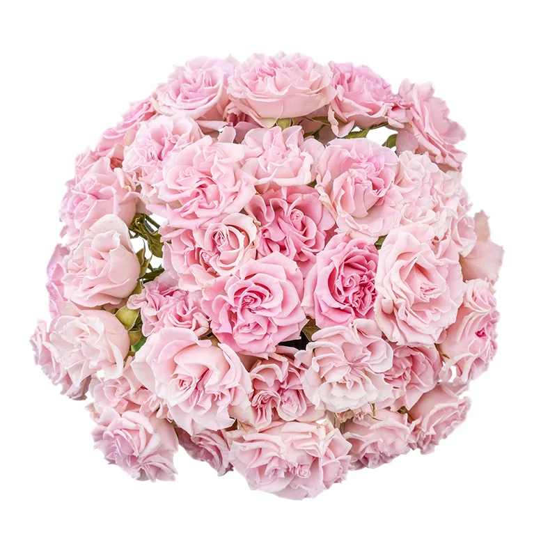 Букет из 15 розовых кустовых роз Свит Флоу (02118)