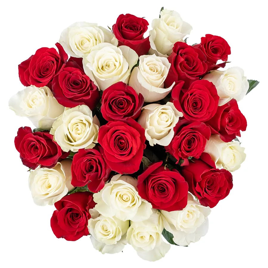 Букет из 29 красных и белых роз Фридом и Мондиаль (02213)