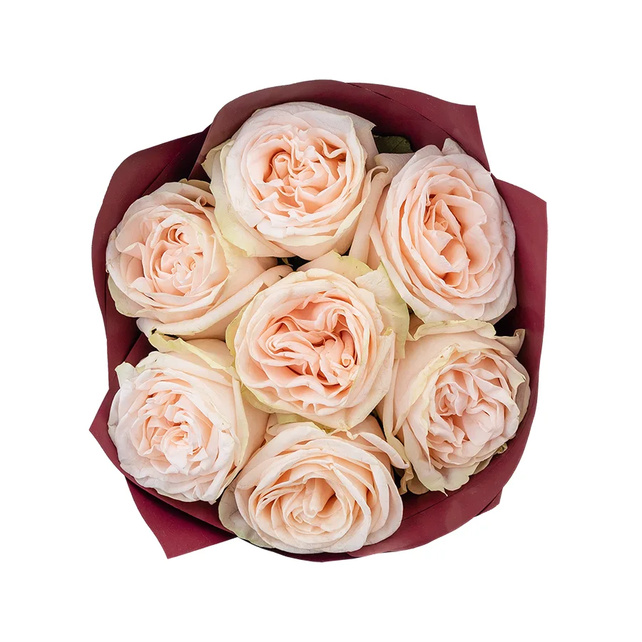 Букет из 7 кремово-розовых пионовидных роз Гарден Спирит (02924)