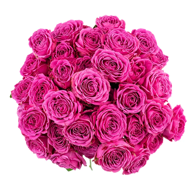 Букет из 13 малиновых кустовых роз Классик Сенсейшн (01354)