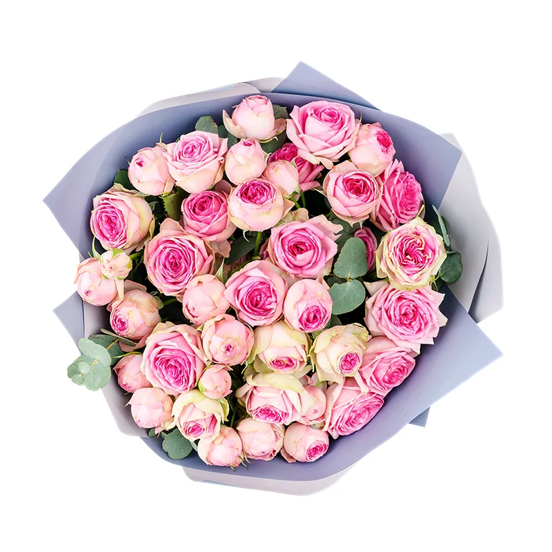 Букет из 7 розовых кустовых роз Супер Сенсейшн (01350)