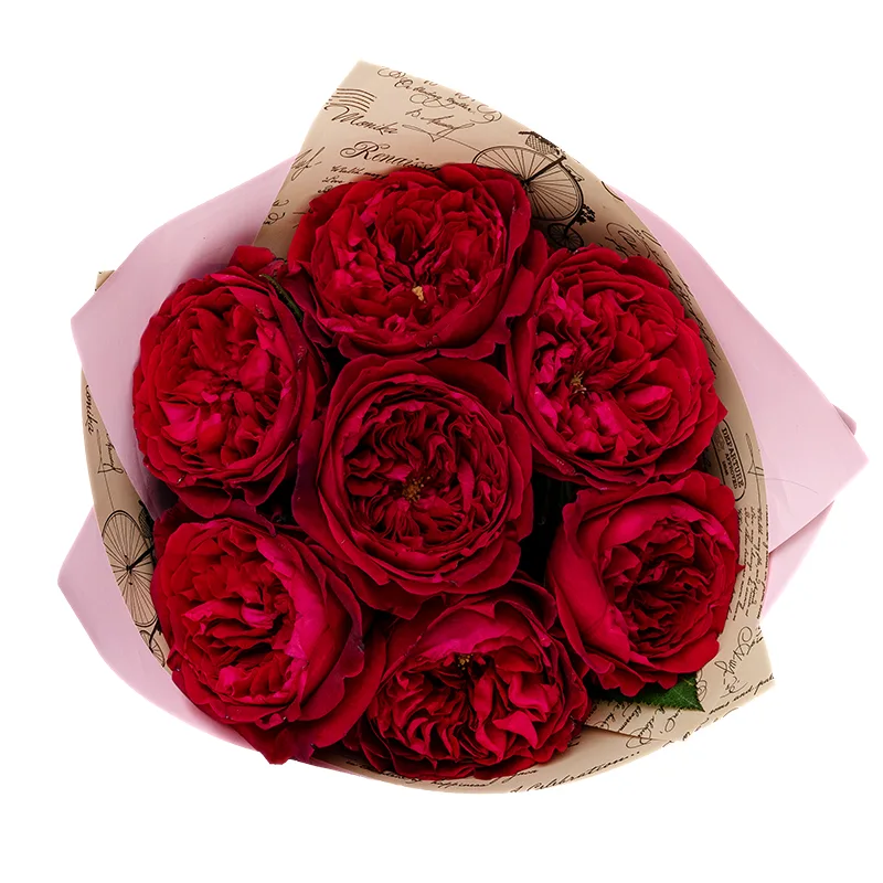 Букет из 7 красных садовых роз Дэвида Остина Тесс (01396)