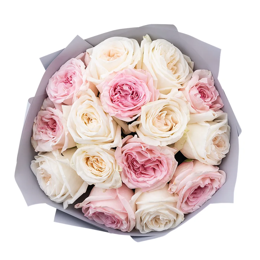 Букет из 15 ароматных белых и розовых садовых роз Вайт и Пинк О’Хара (02807)