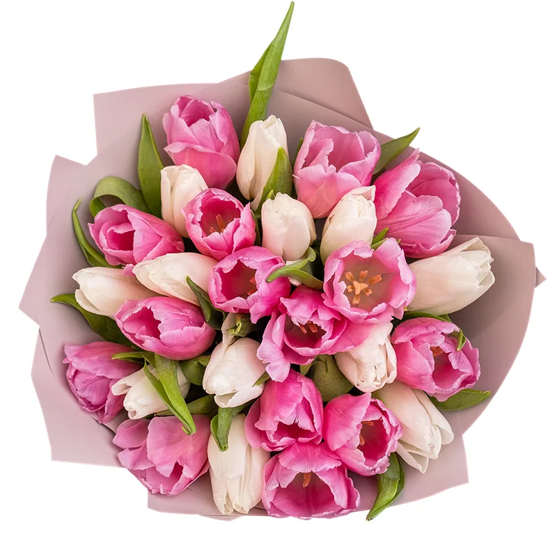Букет из 27 белых и розовых тюльпанов (02034)