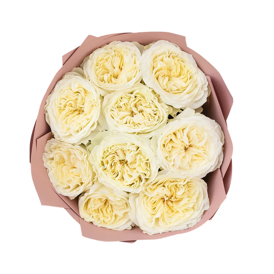 Букет из 9 белых пионовидных роз Майра Вайт (03030)