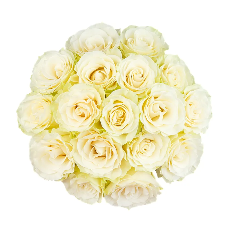 Букет из 17 белых роз Мондиаль (01601)