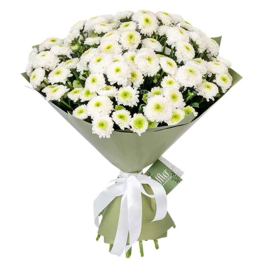 Букет из 19 белых кустовых хризантем Сантини Маверик Вайт (02638)