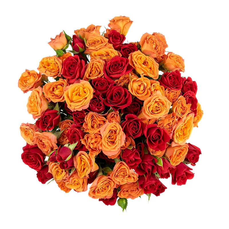 Букет из 15 оранжевых и красных кустовых роз (01657)
