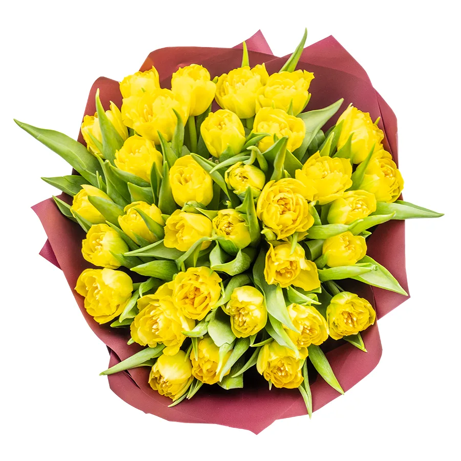 Букет из 33 желтых махровых тюльпанов Хоумран (02283)