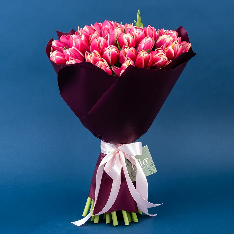 Букет из 45 красно-розовых с белой каймой махровых тюльпанов Колумбус (02193)