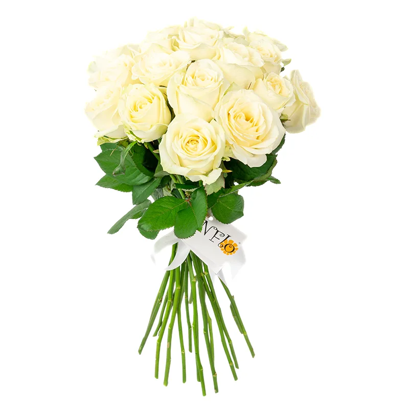 Букет из 21 белой розы Аваланж (01137)