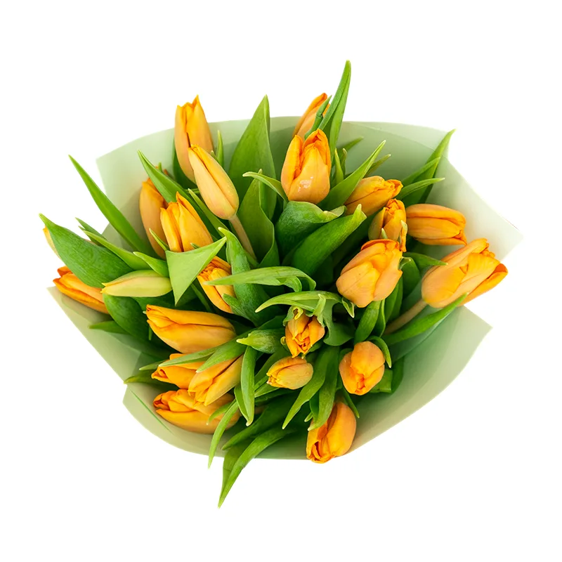 Букет из 23 оранжевых тюльпанов (01973)