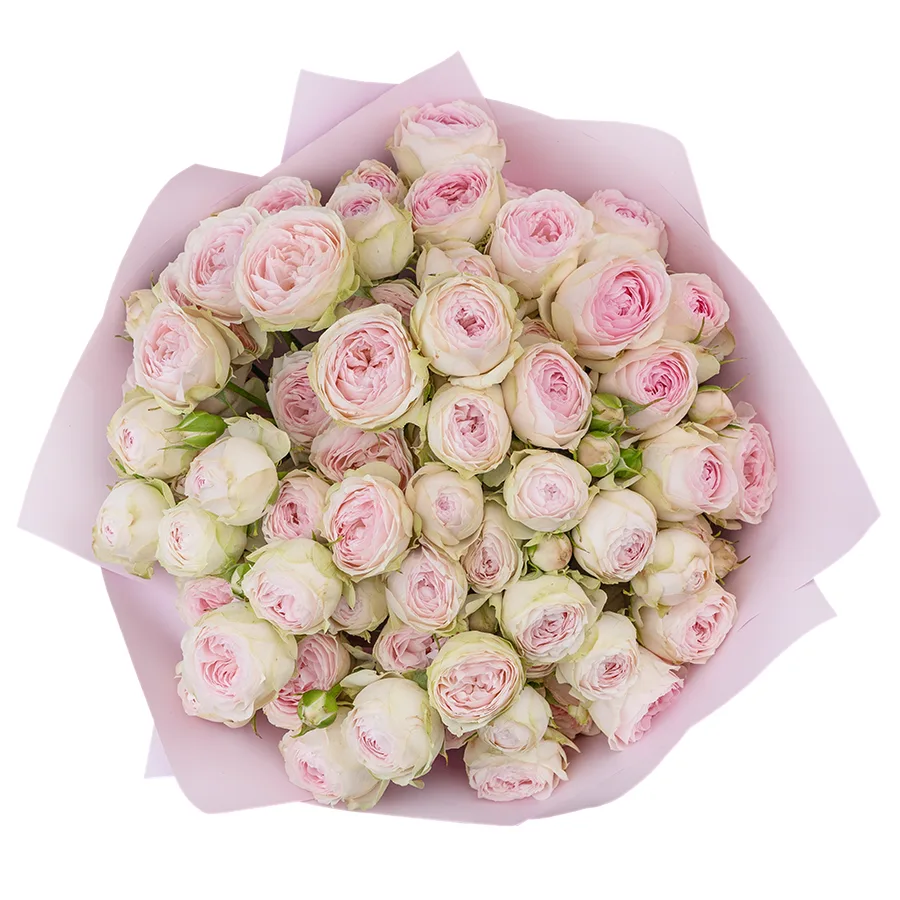 Букет из 13 нежно-розовых кустовых пионовидных роз Дедикейшн (02719)