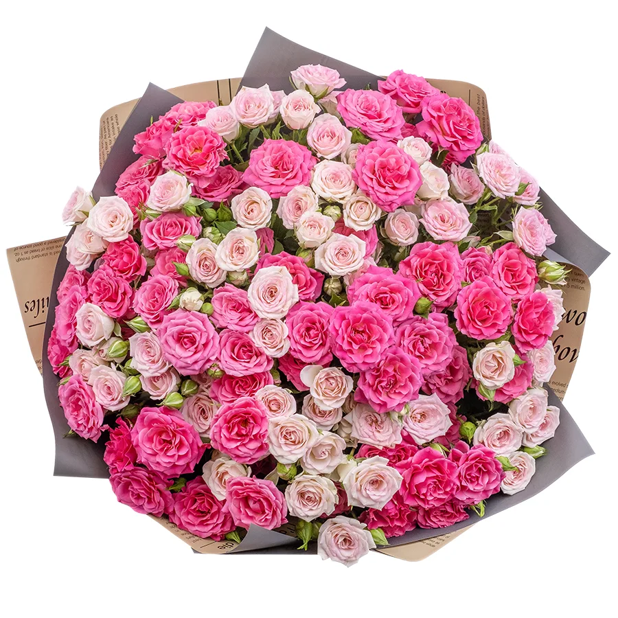Букет из 21 розовой и малиновой кустовой розы Креми Твистер и Лиана (02487)
