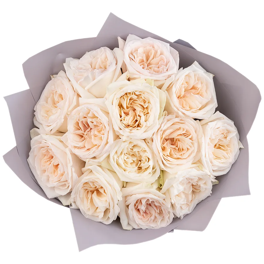 Букет из 13 ароматных белых садовых роз Вайт О Хара в упаковке (01283)