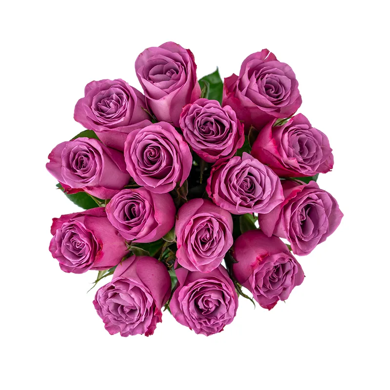 Букет из 15 фиолетовых роз Муди Блюз (01212)
