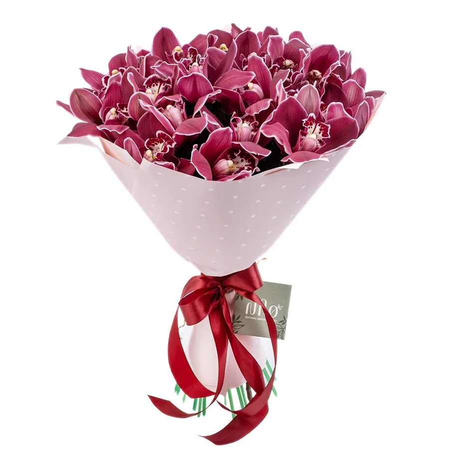 Букет из 25 красных орхидей Цимбидиум (02495)