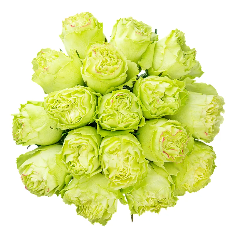 Букет из 17 нежно-салатовых роз Лимонад (01401)