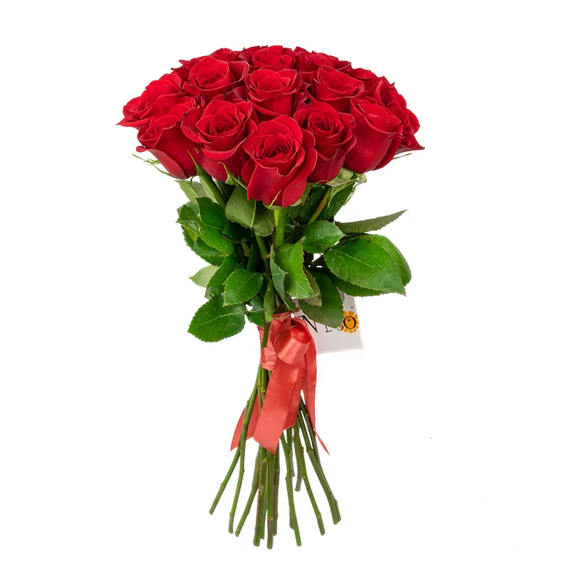 Букет из 17 красных роз Фридом (01146)