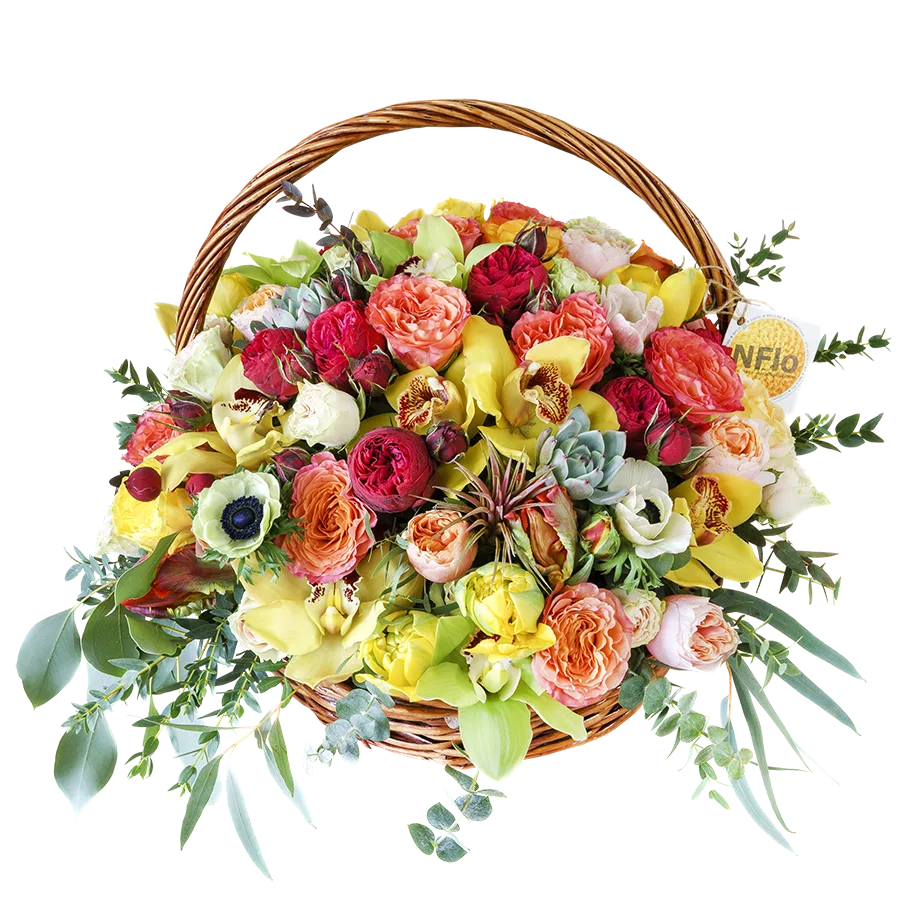 Корзина с розами, орхидеями, тюльпанами, анемонами, эхевериями и тилландсией (00754)