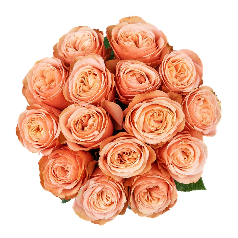 Букет из 15 персиковых пионовидных роз Кахала (01412)