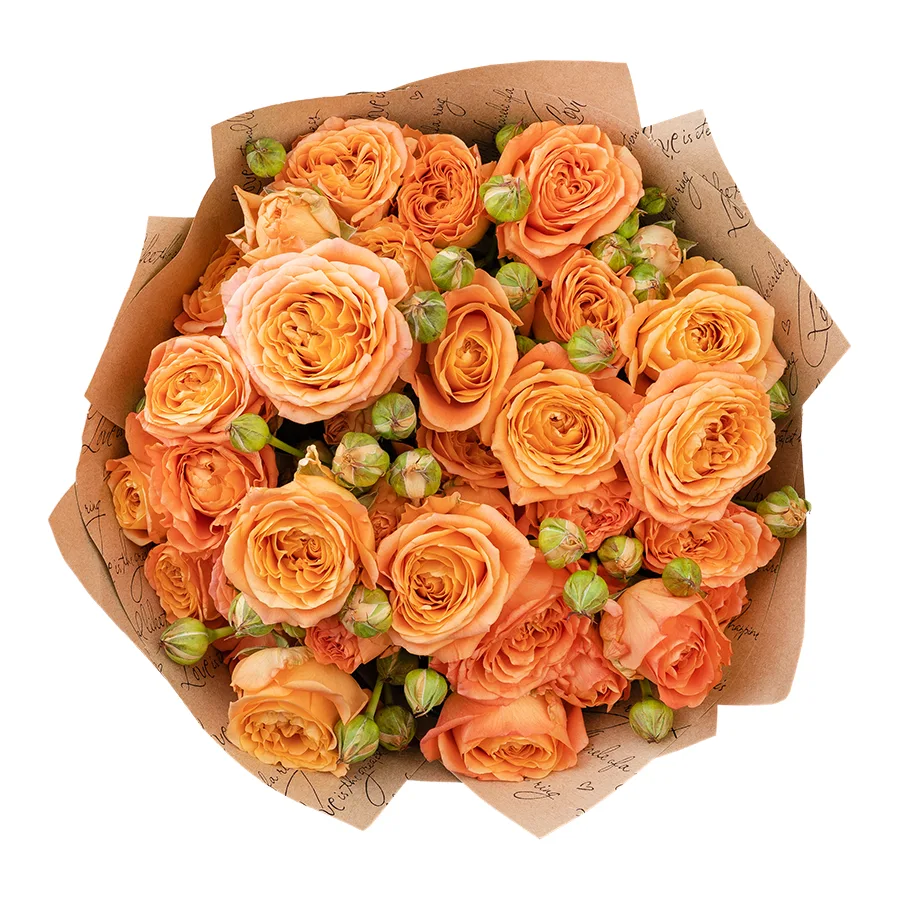 Букет из 9 абрикосовых кустовых пионовидных роз Априкот Лейс (02998)