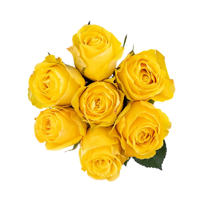 Букет из 7 жёлтых роз Брайтон (01824)