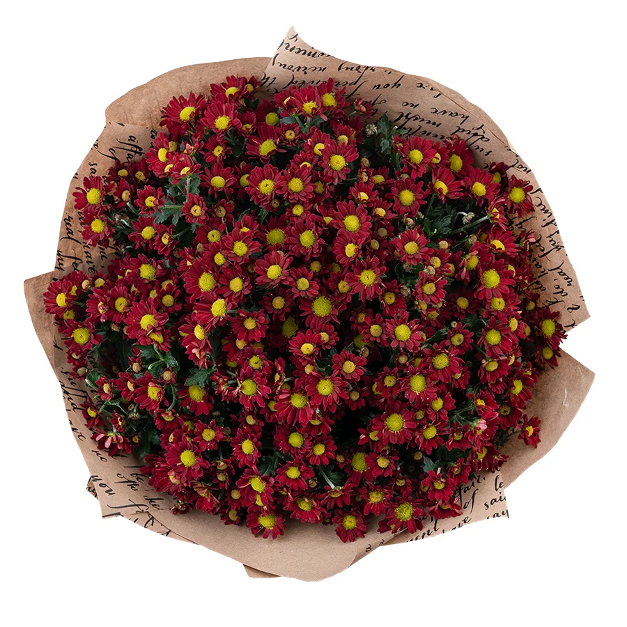 Букет из 19 красных кустовых хризантем Сантини Мадиба Дунга Рэд (02940)