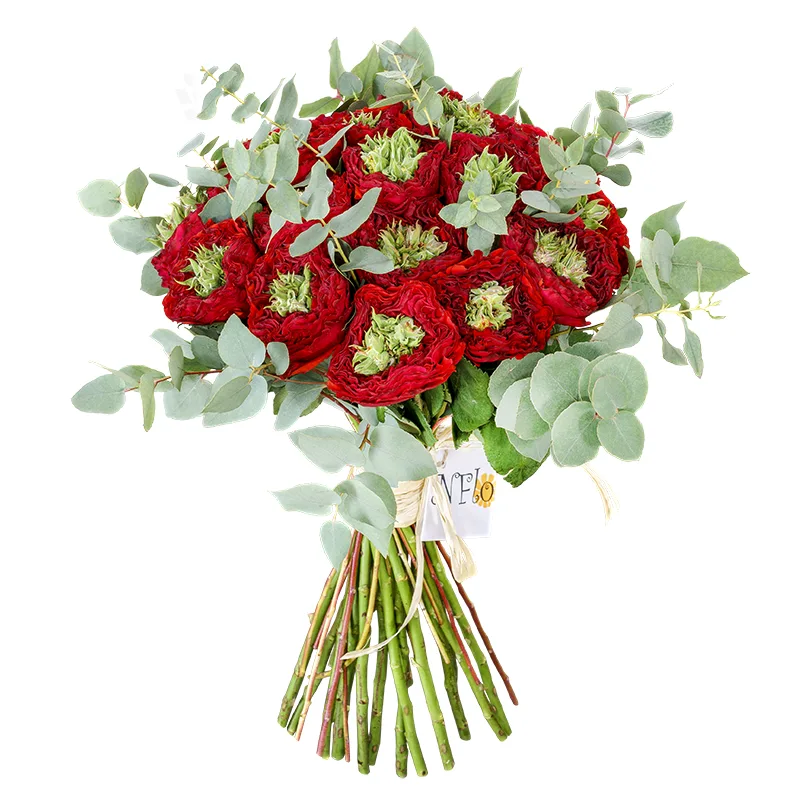 Букет из 19 красных с зеленым роз Ред Ай (00516)