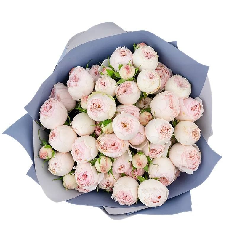 Букет из 9 нежно-розовых кустовых пионовидных роз Мансфилд Парк (01319)